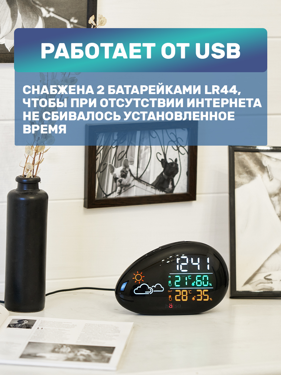 Метеостанция HALSA - фото 4