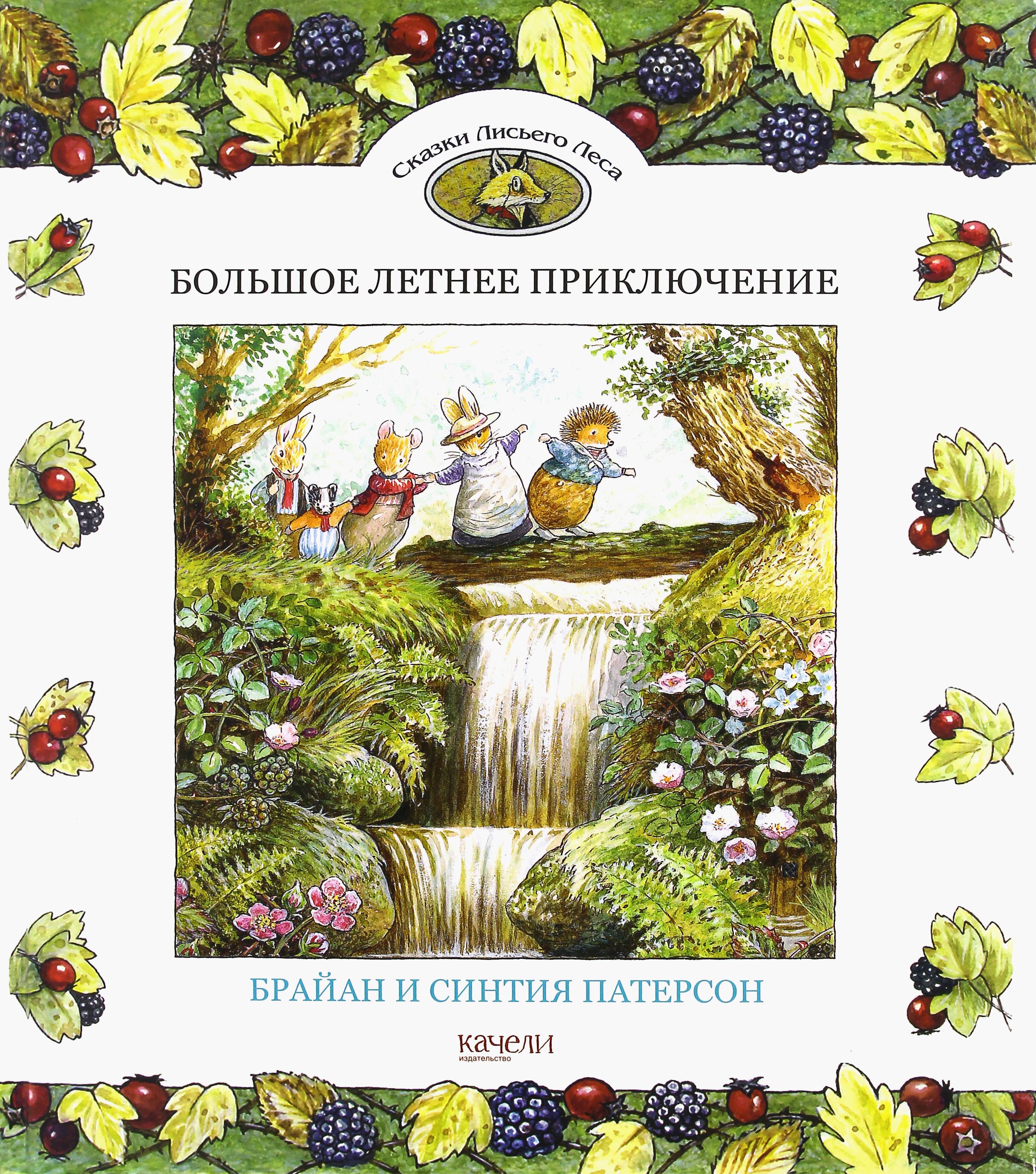 Книга Стрекозa Большое летнее приключение - фото 1
