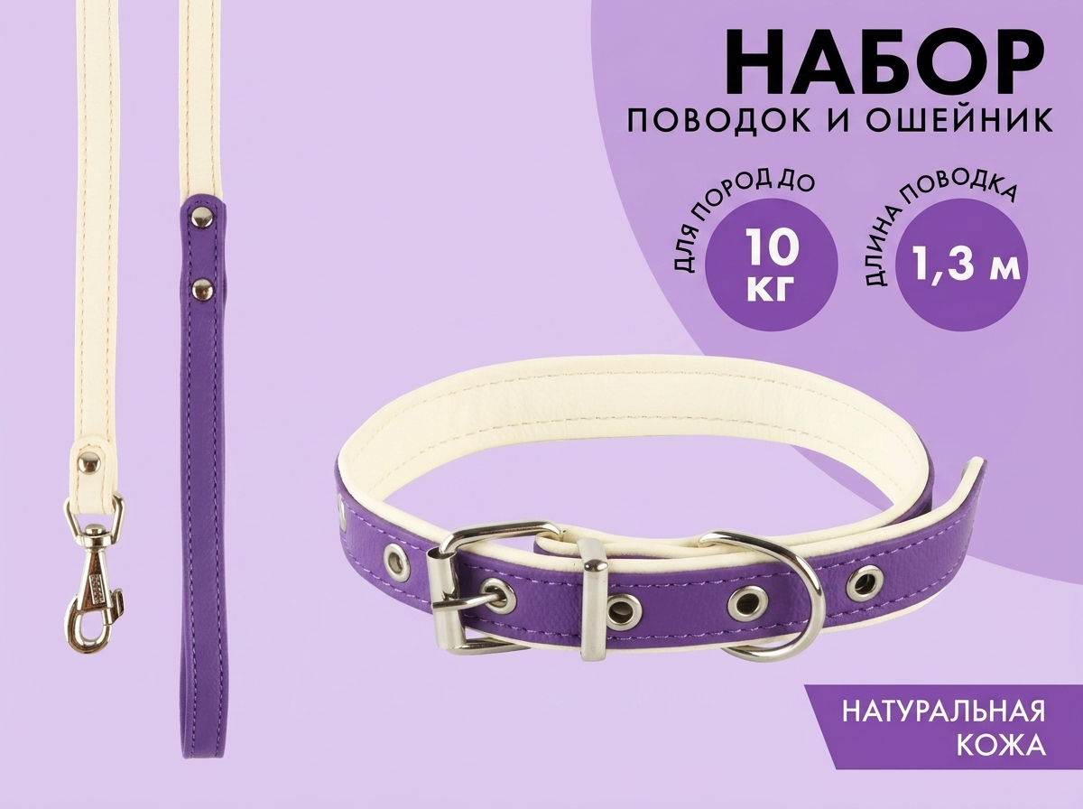 Комплект Пушистое счастье ошейник и поводок из экокожи фиолетовый с бежевым - фото 1