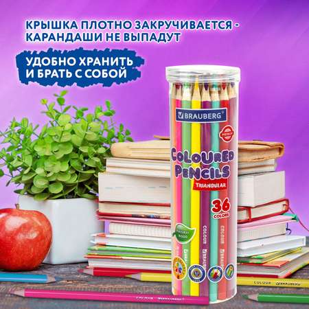 Карандаши цветные Brauberg 36 шт.