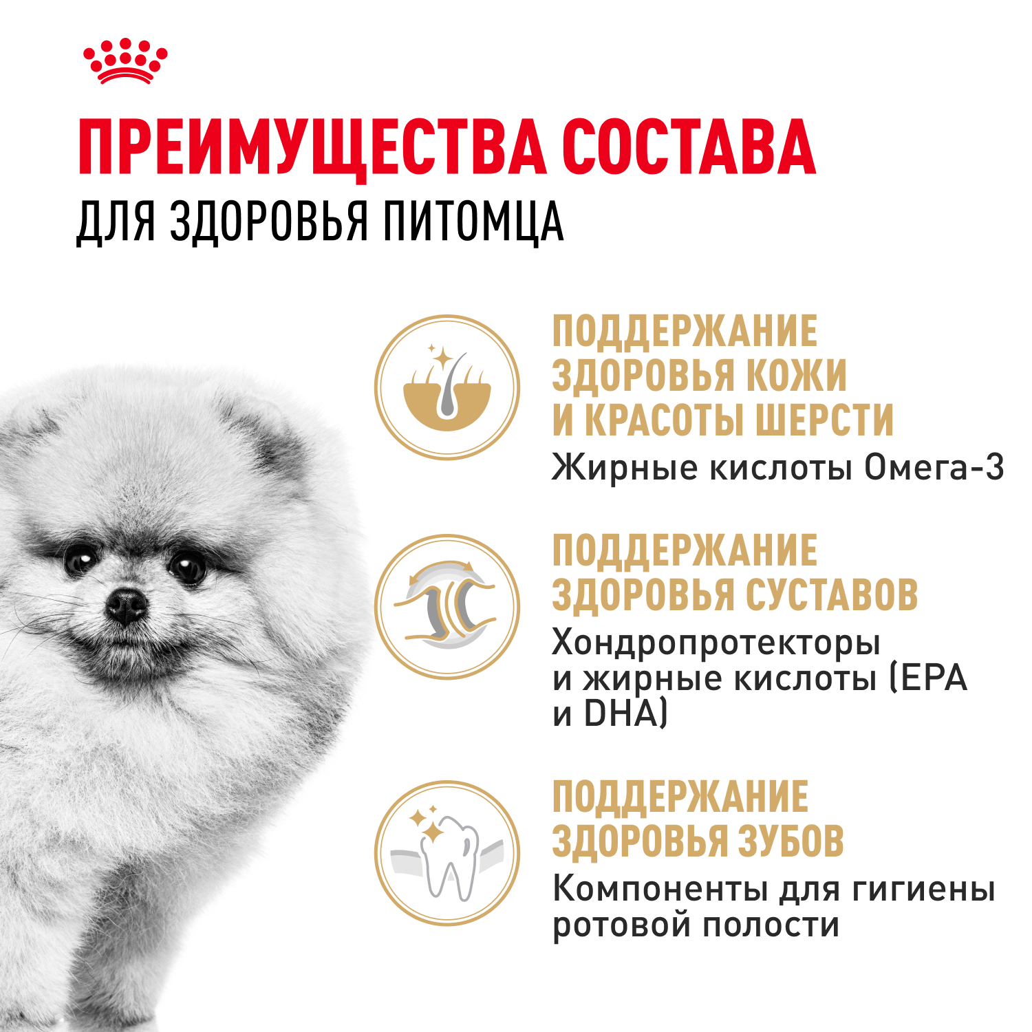 Корм для собак ROYAL CANIN породы померанский шпиц 0.5кг - фото 3