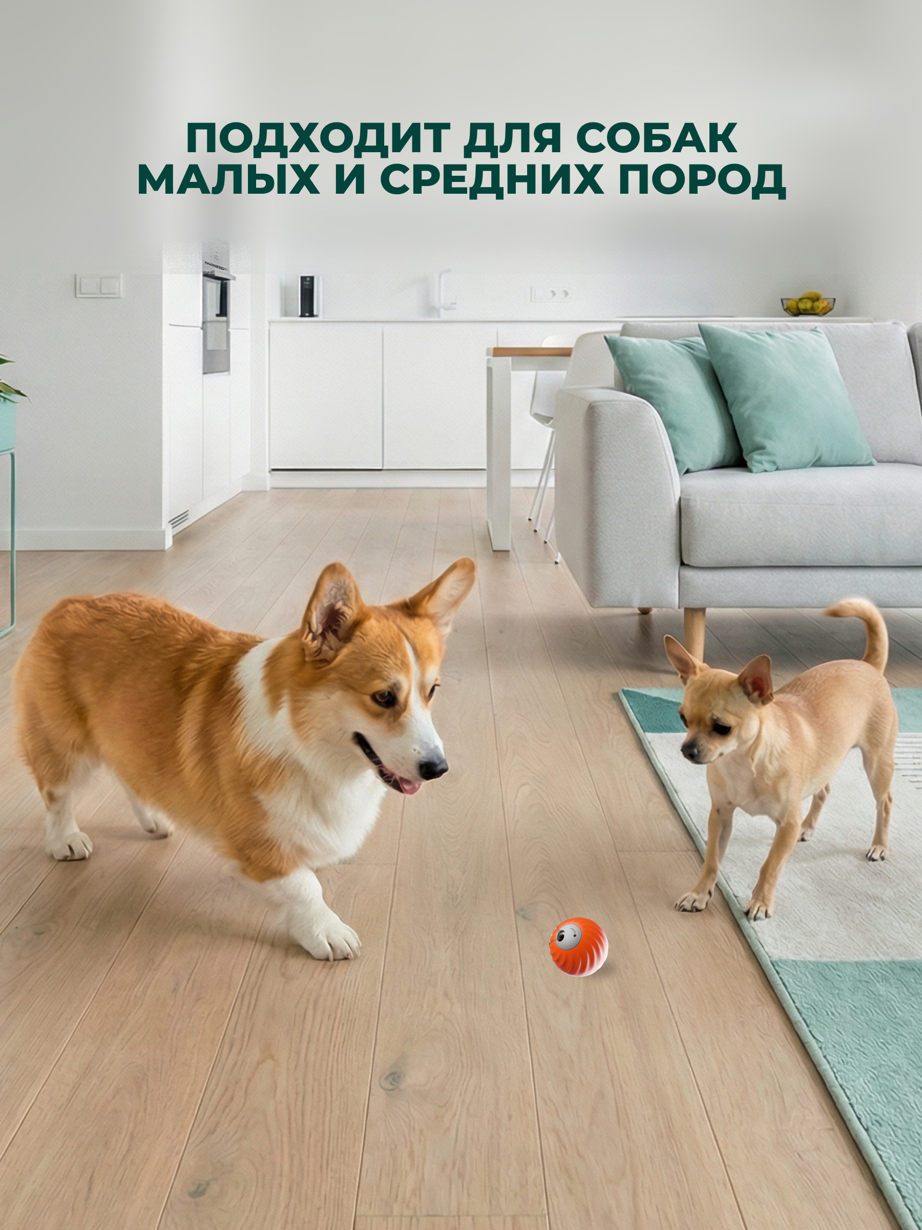 Игрушка интерактивная для собак Ok, Poodle умный мяч - фото 7