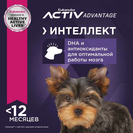 Корм Eukanuba Dog 500г для щенков миниатюрных пород сухой