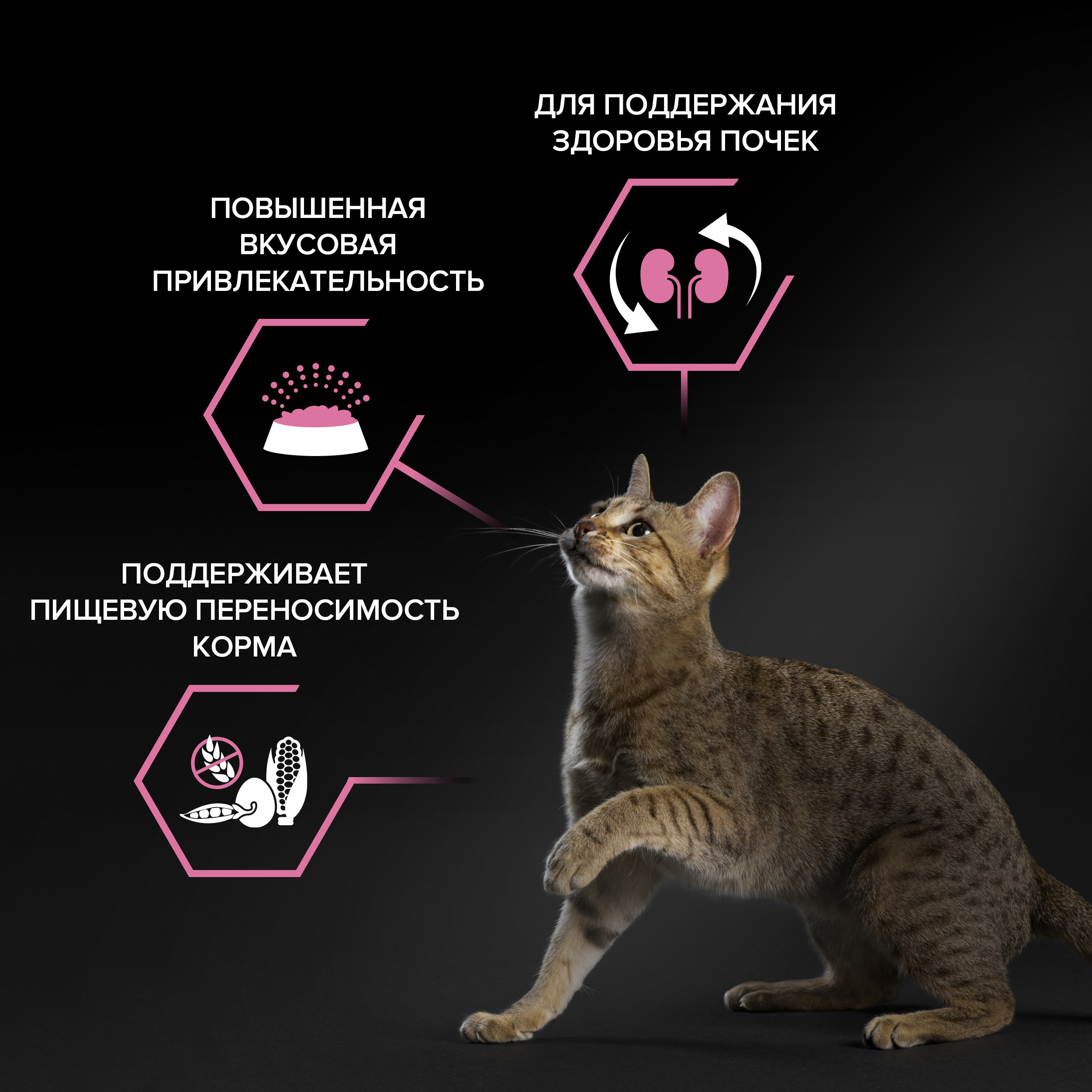 Корм сухой для кошек PRO PLAN 400г с ягненком с чувствительным пищеварением - фото 3