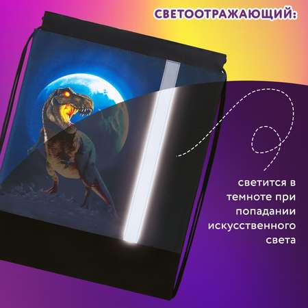 Мешок для обуви Юнландия