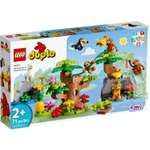 Конструктор LEGO DUPLO Wild Animals of South America блочный