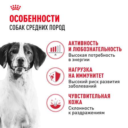 Корм для собак ROYAL CANIN средних пород 3кг