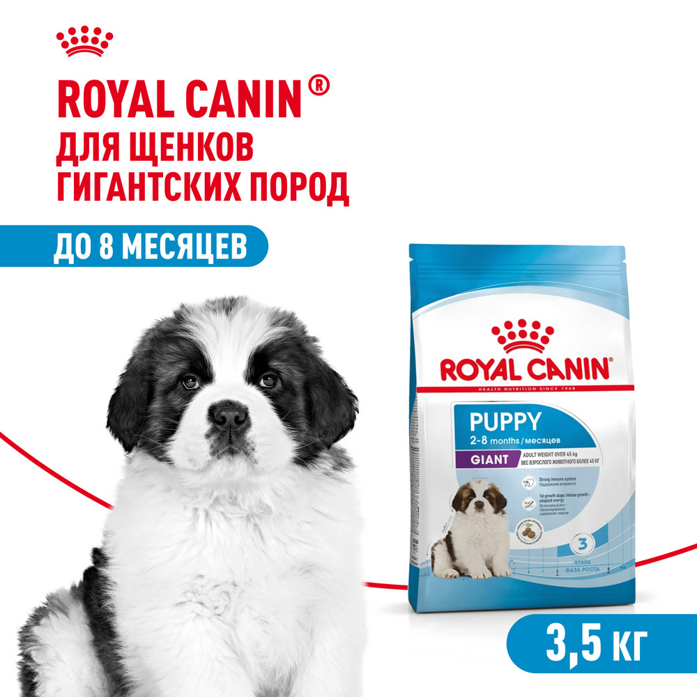 Корм для щенков ROYAL CANIN гигантских пород 2-8месяцев 3.5кг - фото 1