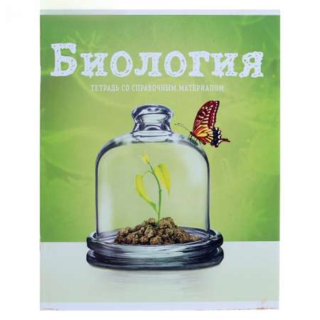 Тетрадь Calligrata