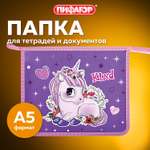 Папка для тетрадей Пифагор А5