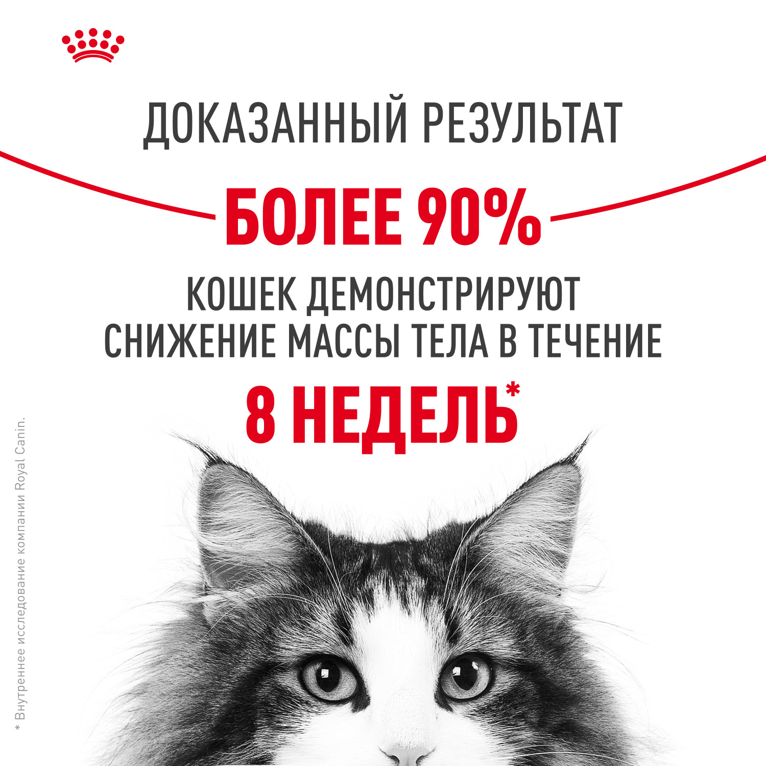 Корм для кошек ROYAL CANIN Light Weight Care для взрослых кошек в целях профилактики избыточного веса 3кг - фото 4