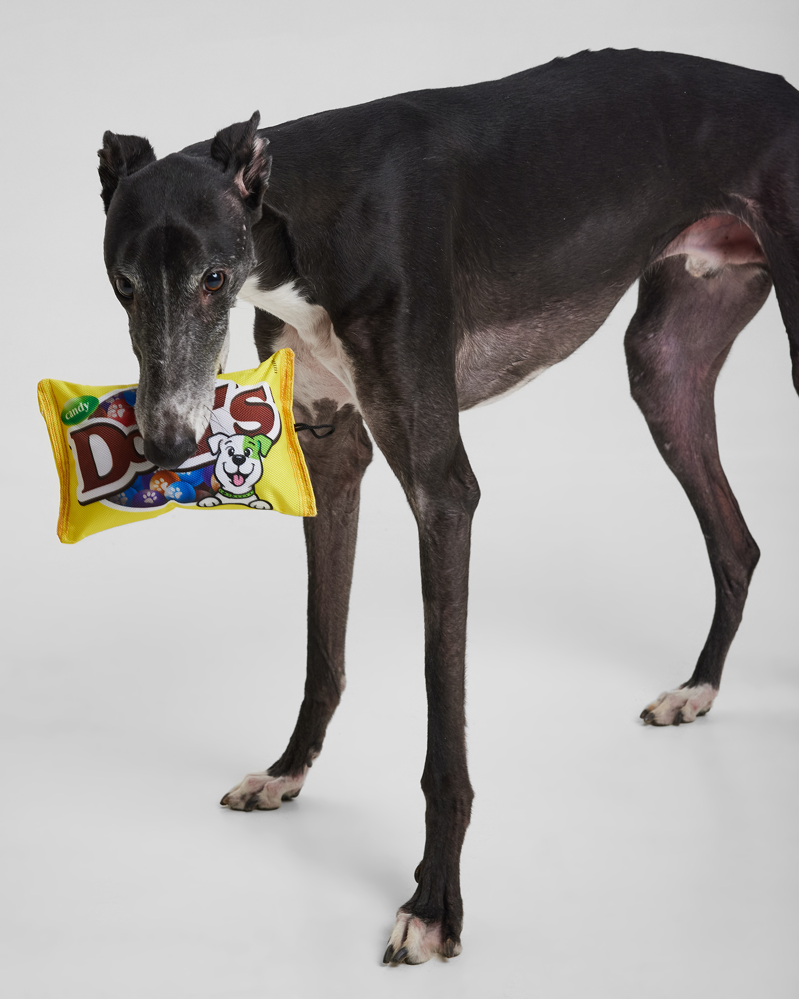 Игрушка для собак Barbaks Пачка вкусняшек шуршит 21.5*13см - фото 5