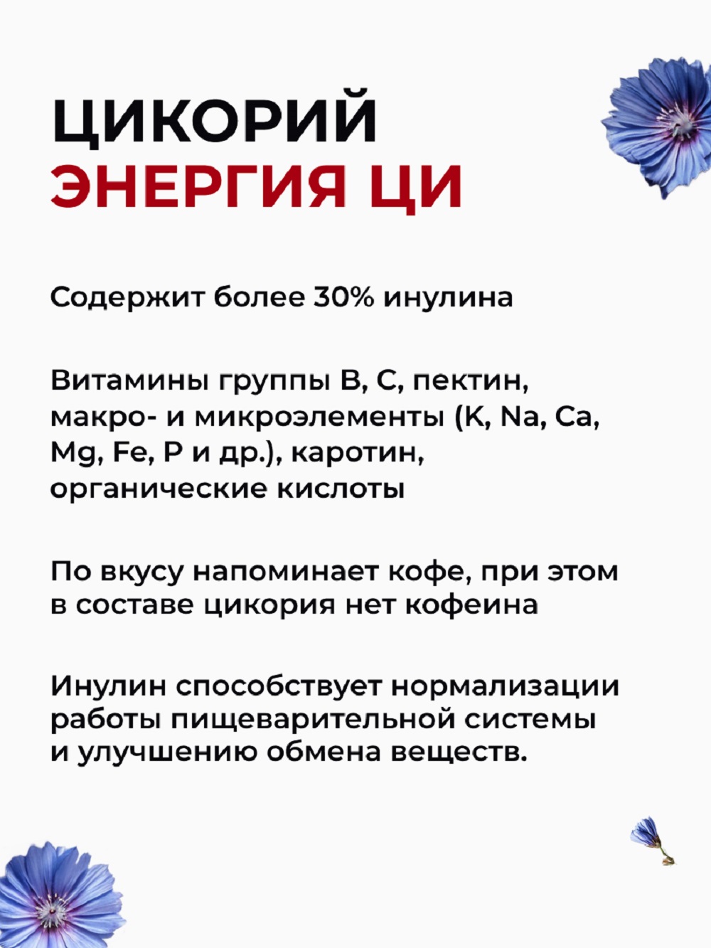 Цикорий Энергия Ци растворимый порошок - фото 4