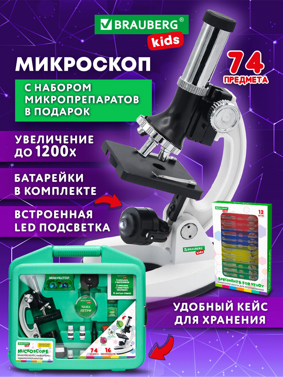 Микроскоп Brauberg - фото 1