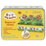 Набор для выращивания Huada Toys Выращивание растений