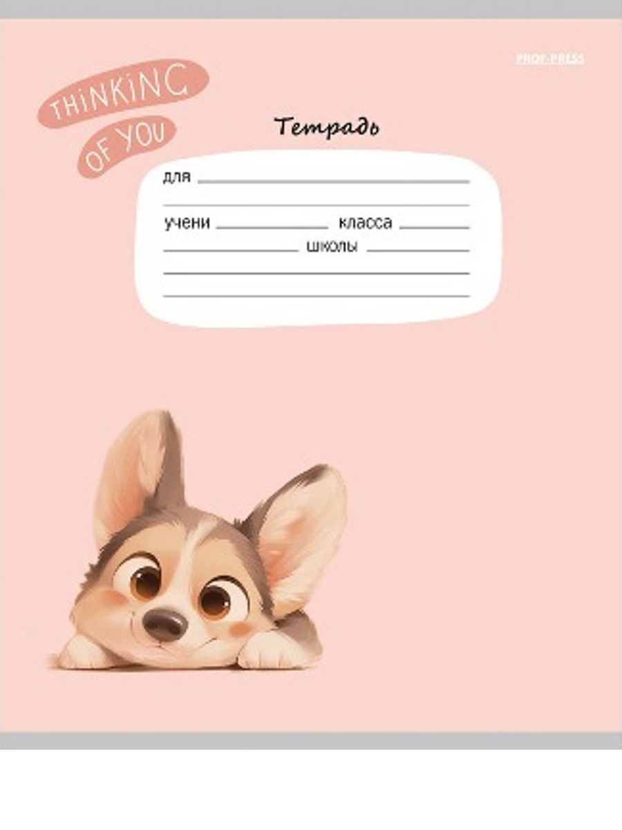 Тетрадь Prof-Press клетка 12 лист. 20 шт. - фото 8