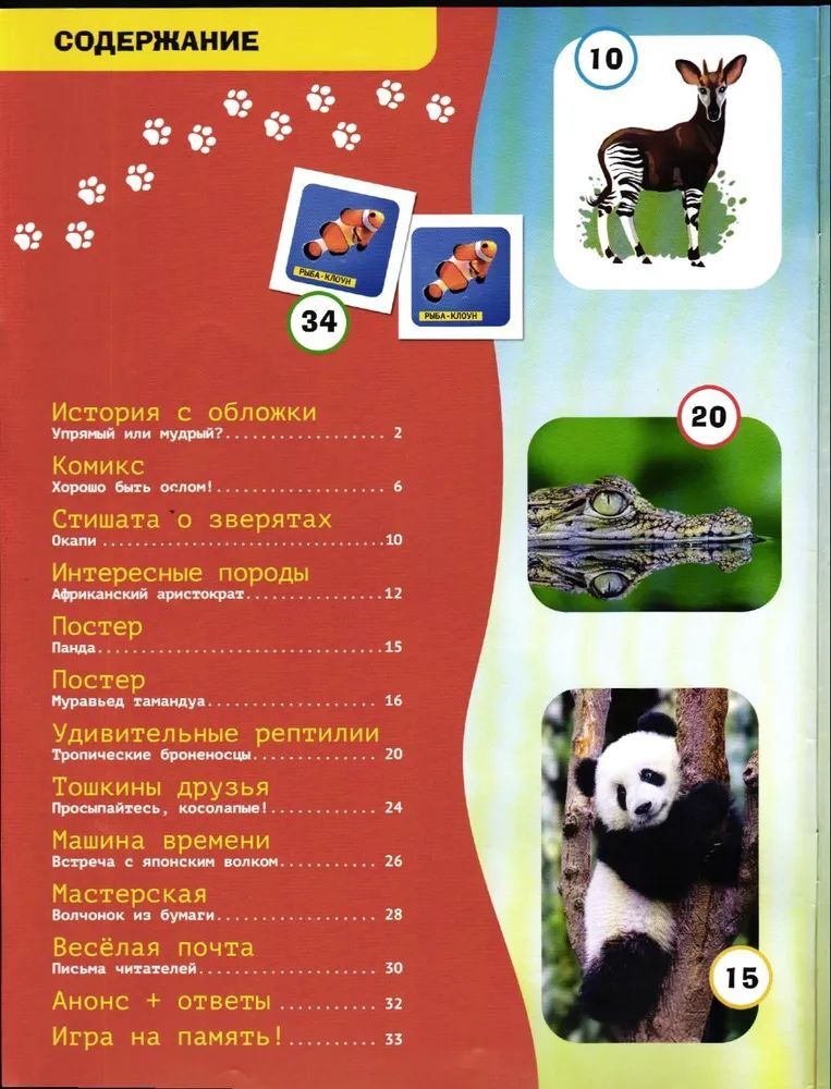 Набор журналов ИД Лев Детские журналы - фото 4