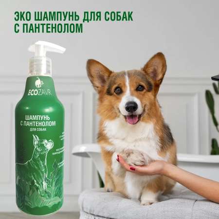 Шампунь для собак ECOZAVR с пантенолом 500мл