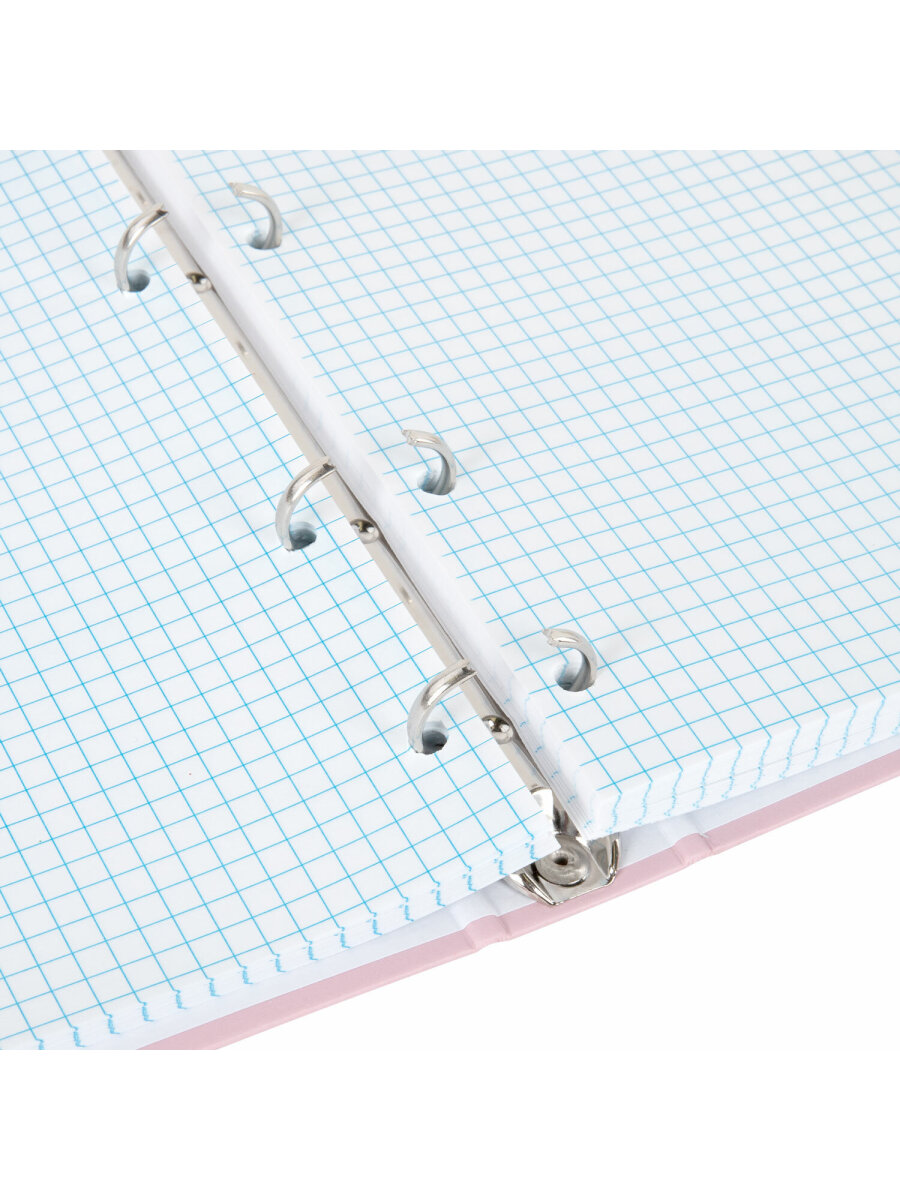 Тетрадь со сменным блоком Brauberg клетка 120 лист. - фото 11