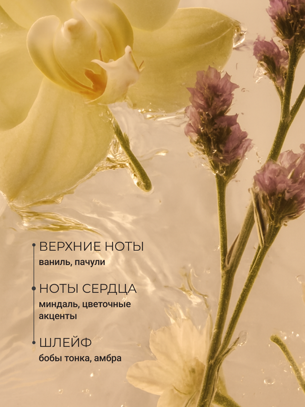 Масло Zeitun Ритуал наслаждения 200 мл - фото 4