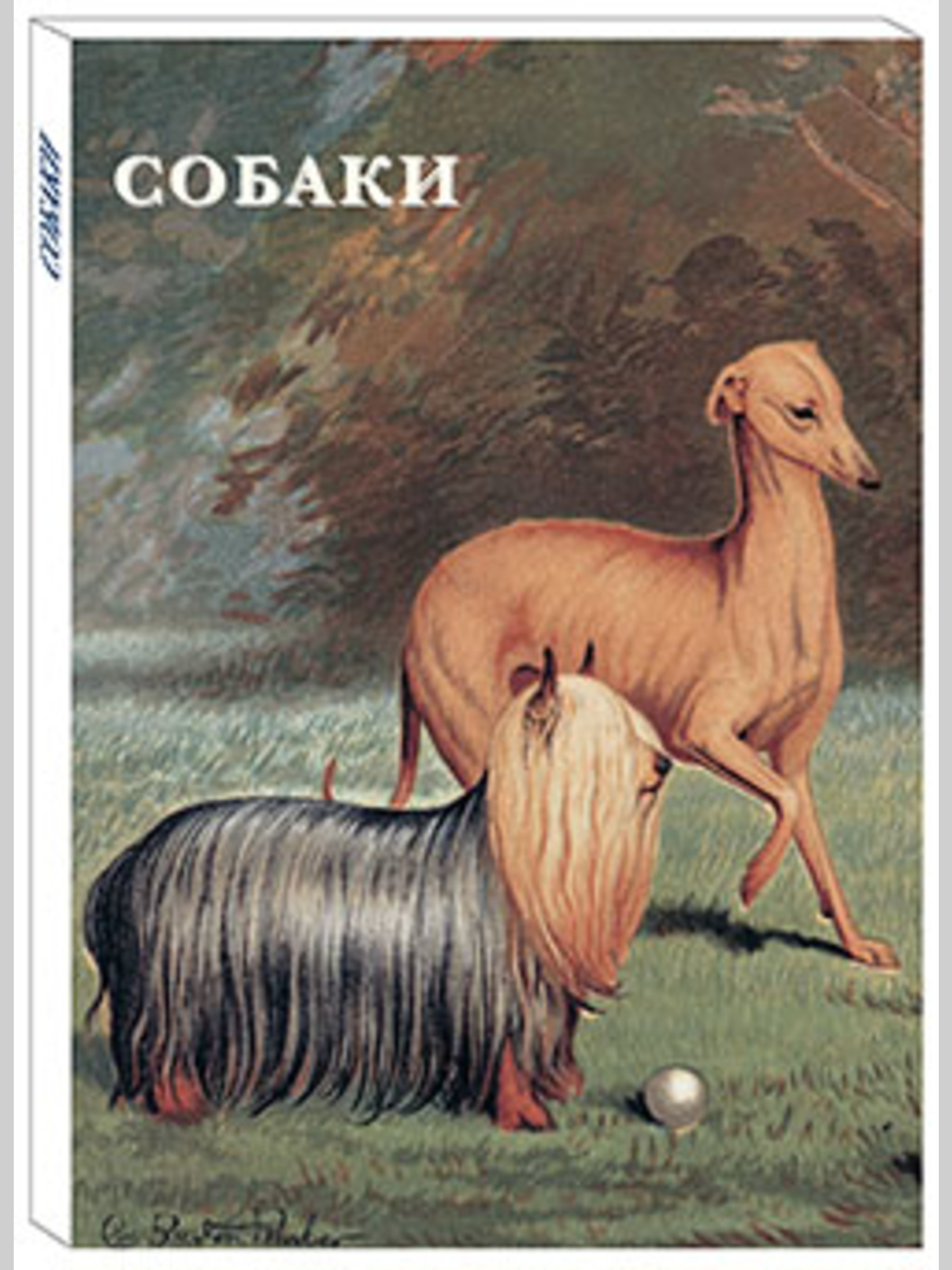 Набор открыток Белый город Собаки - фото 1