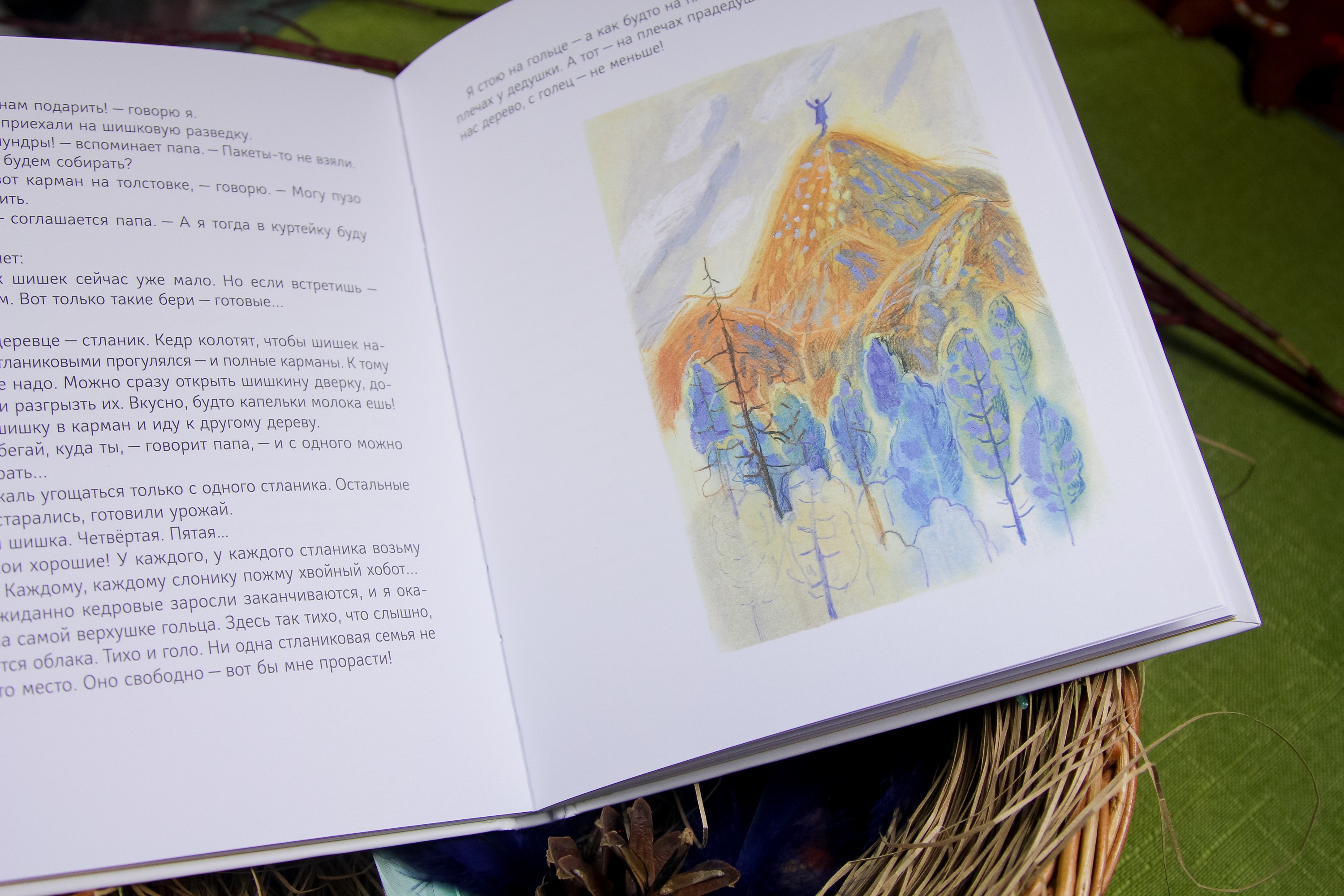 Книга Волчок Кедровый слоник - фото 3
