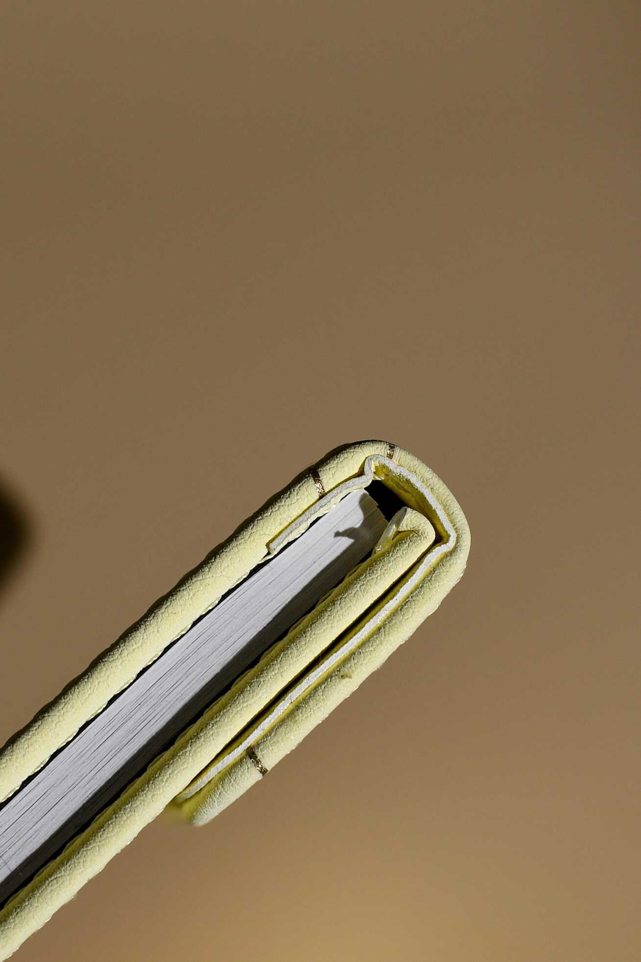 Ежедневник Феникс + ESCALADA 64 лист. - фото 4