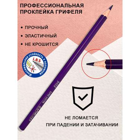 Карандаши цветные ACMELIAE 12 шт.