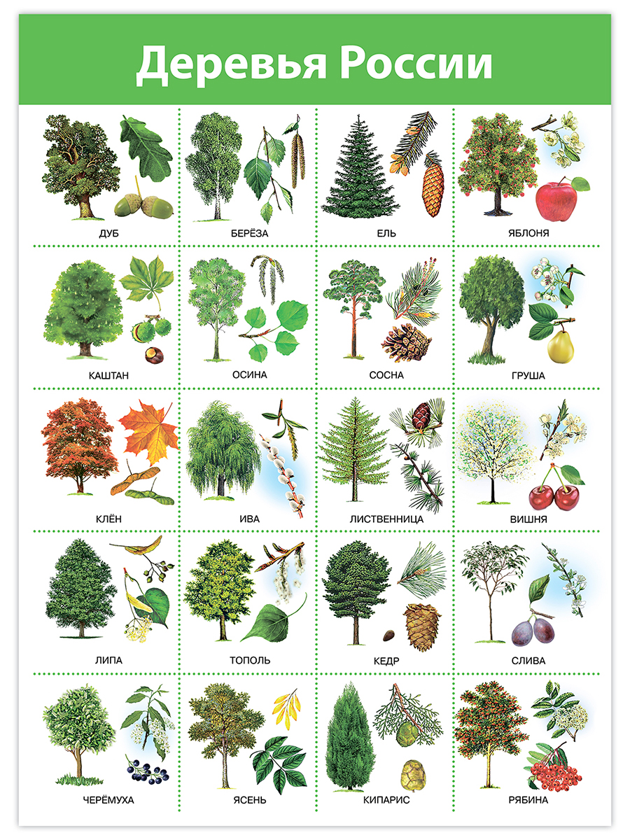 Настольная игра Дрофа-Медиа - фото 5