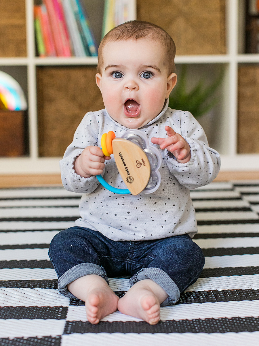 Игрушка музыкальная Hape бубен - фото 4