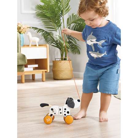 Игрушка Hape каталка Собачка