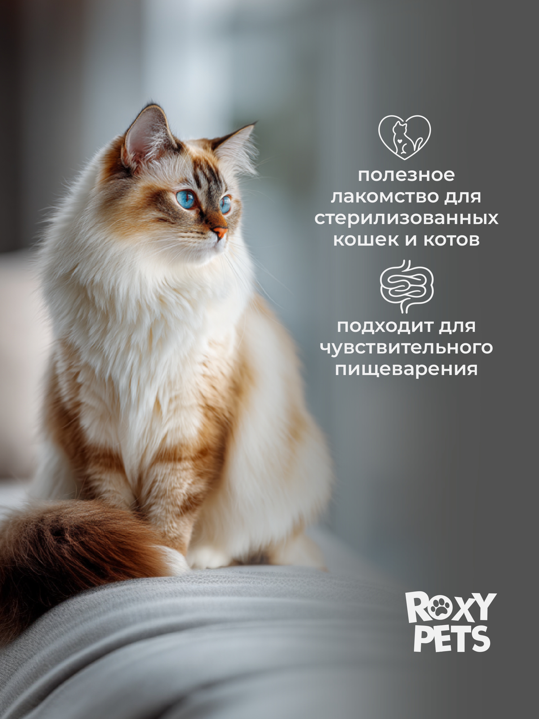 Крем-суп для кошек и котят всех пород ROXY PETS филе карельского лосося и лососевого масла 3уп из 10шт - фото 8