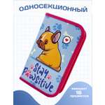 Пенал книжка AXLER большой вместительный