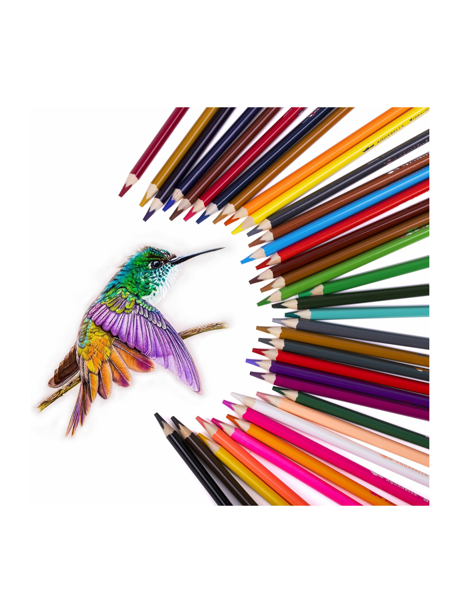 Карандаши акварельные Brauberg 36 шт. - фото 16