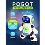 Робот РУ Рыжий кот