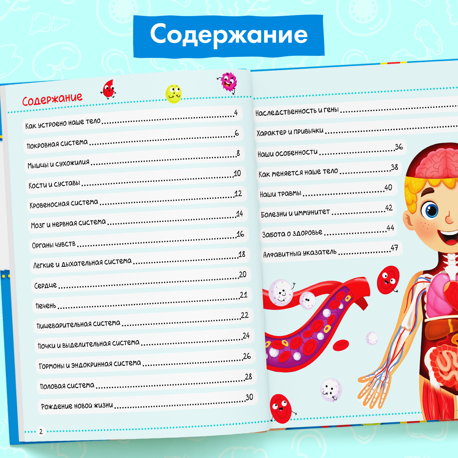 Энциклопедия Буква-ленд в твёрдом переплёте Тело человека 48 стр - фото 4