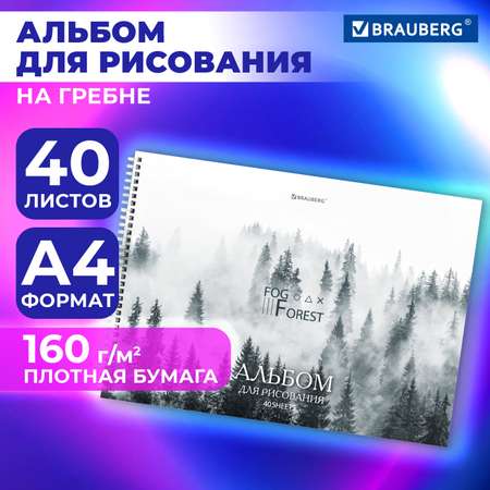 Альбом Brauberg А4