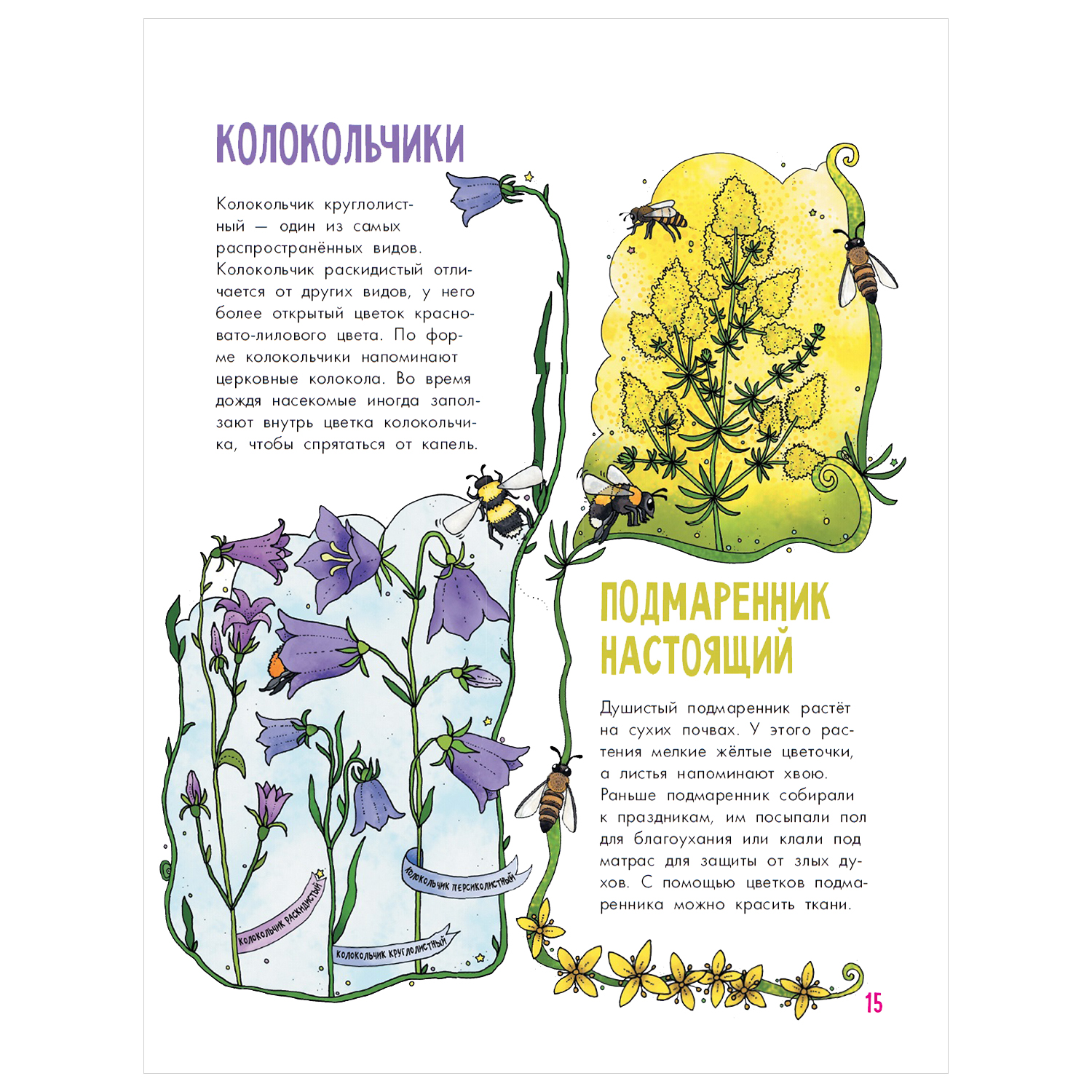 Энциклопедия АСТ Цветы и растения - фото 4