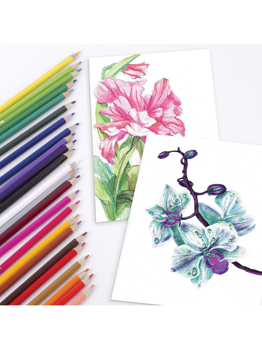 Карандаши акварельные Brauberg 24 шт. - фото 13