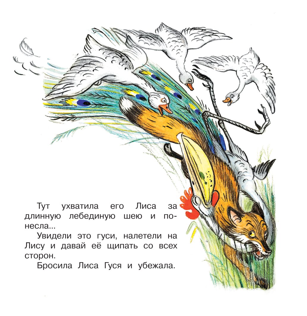 Книга АСТ Это что за птица - фото 5