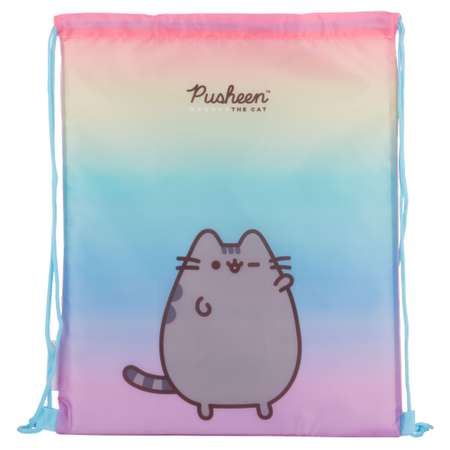 Мешок для обуви Pusheen