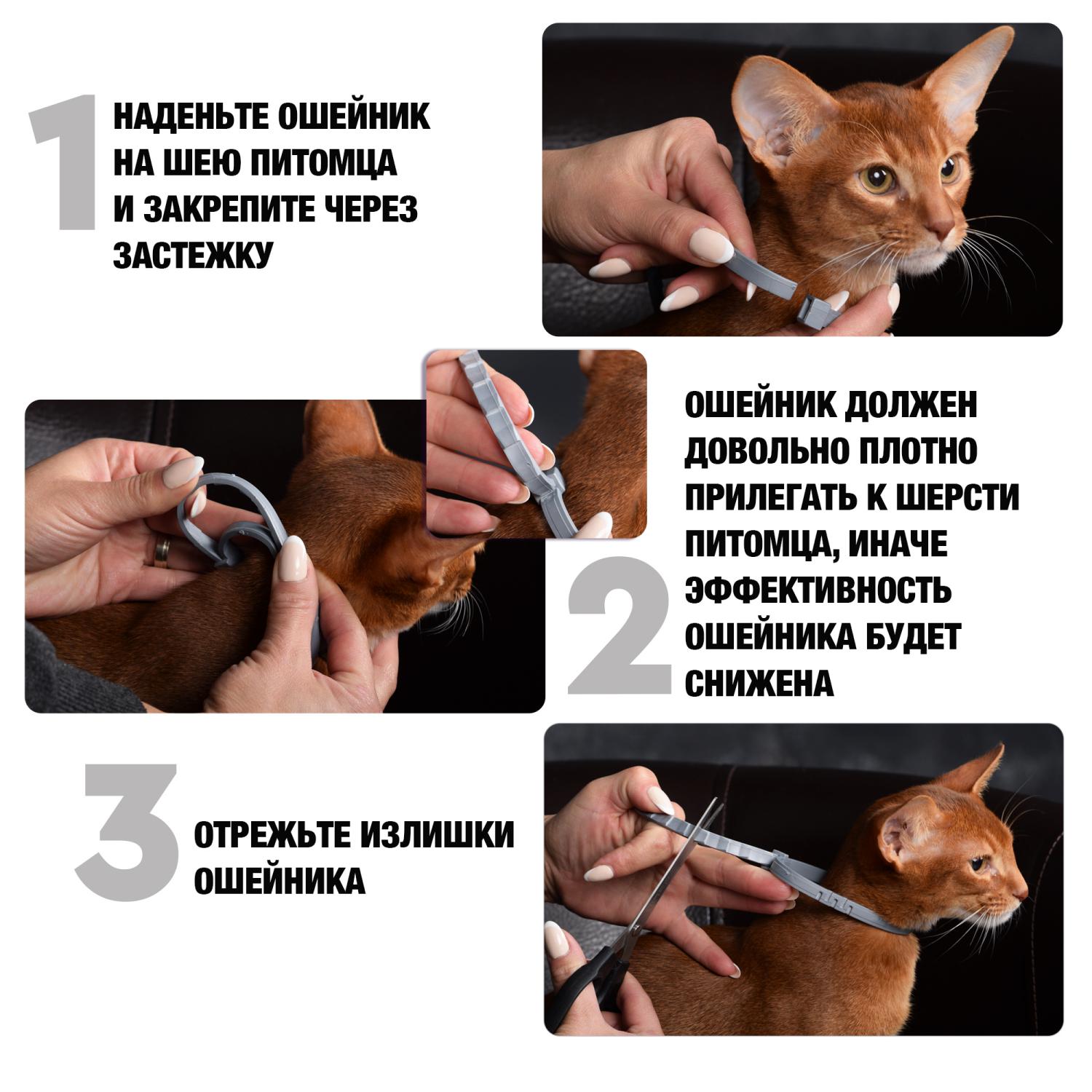 Ошейник для кошек RolfClub3D от блох и клещей 40см - фото 3