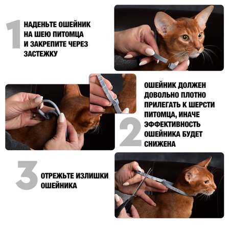 Ошейник для кошек RolfClub3D от блох и клещей 40см
