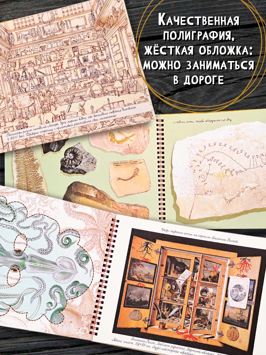 Книга Лабиринт Моя удивительная коллекция Диковинки и редкости - фото 3