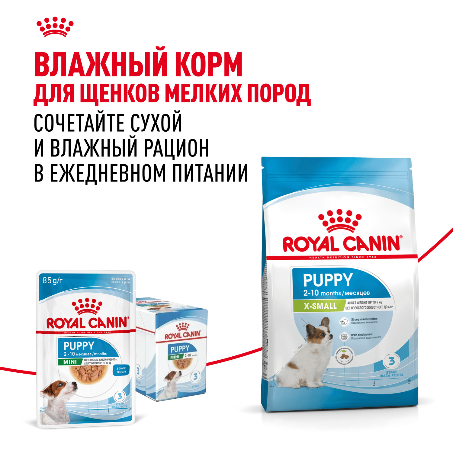 Корм для щенков ROYAL CANIN Junior миниатюрных пород 1.5кг - фото 8