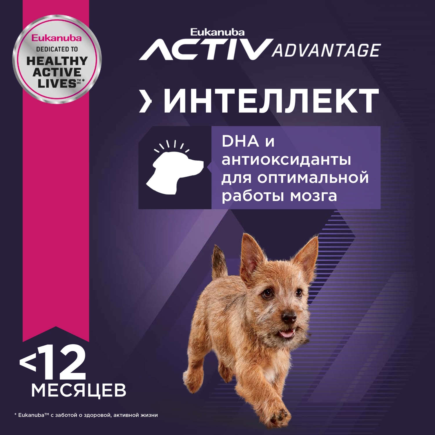 Корм Eukanuba Dog 3кг для щенков мелких пород сухой - фото 5