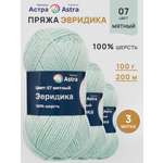 Пряжа Astra Premium Эвридика шерстяная 100 г 200 м 07 мятный 3 мотка