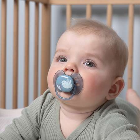 Пустышка Philips Avent силикон ортодонтическая от 6 мес. 2 шт.