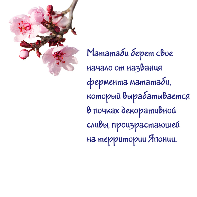 Пищевая добавка для кошек Itosui Мататаби Один дома для снятия стресса - фото 4