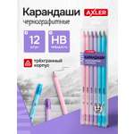 Карандаши чернографитные AXLER 12 шт.